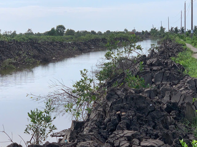Chủ tịch tỉnh C&agrave; Mau y&ecirc;u cầu kiểm điểm tr&aacute;ch nhiệm li&ecirc;n quan dự &aacute;n thủy lợi năm 2025- Ảnh 1.
