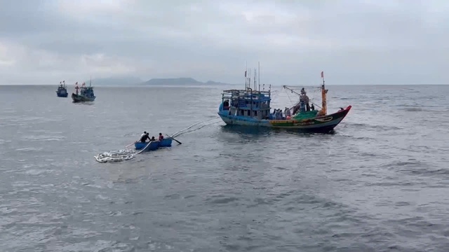 Tàu cá bị chìm ở vùng biển Lý Sơn, 11 ngư dân may mắn được cứu sống Tàu cá bị chìm ở vùng biển Lý Sơn, 11 ngư dân may mắn được cứu sống