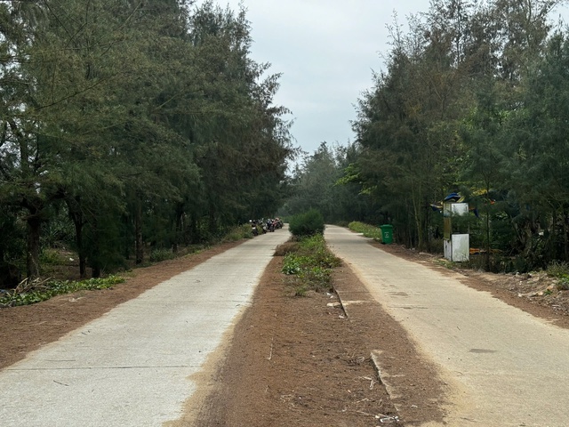 Khởi tố 2 giám đốc doanh nghiệp vi phạm tại dự án đường ven biển Khởi tố 2 giám đốc doanh nghiệp vi phạm tại dự án đường ven biển