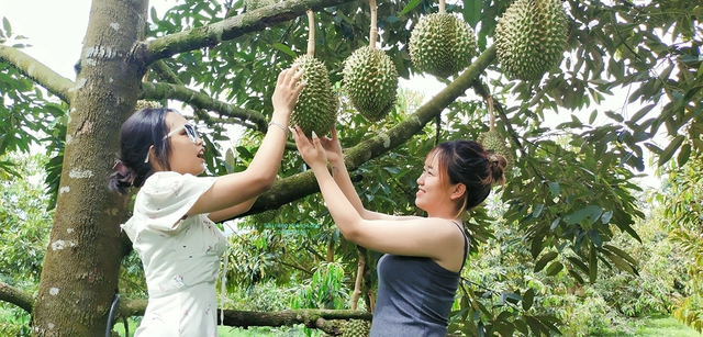 Hòn Dung - Điểm đến giàu bản sắc trên bản đồ du lịch cộng đồng Khánh Hòa- Ảnh 13.