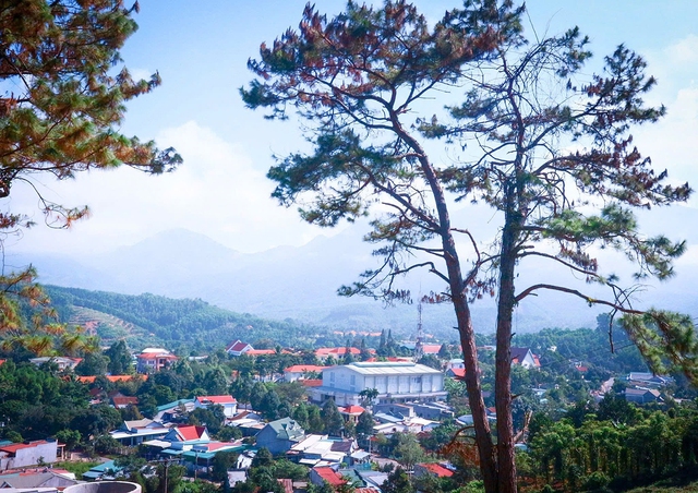 Hòn Dung - Điểm đến giàu bản sắc trên bản đồ du lịch cộng đồng Khánh Hòa- Ảnh 16.