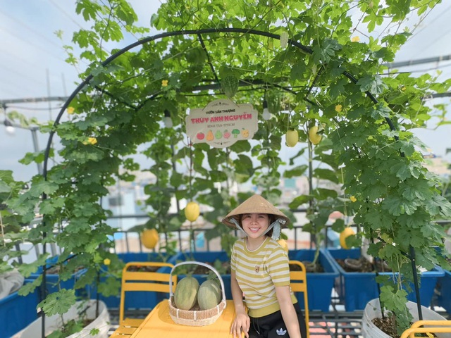 Trồng dưa lưới trên sân thượng ở TP.HCM, nhà ăn không hết gửi về quê - Ảnh 1.