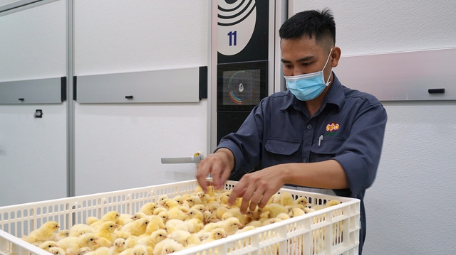Tây Ninh: Đột phá trong phát triển nông nghiệp công nghệ cao - Ảnh 2.