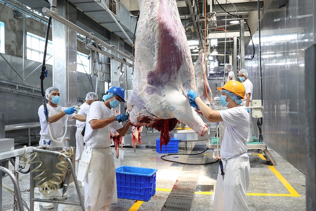 Tây Ninh: Đột phá trong phát triển nông nghiệp công nghệ cao - Ảnh 3.