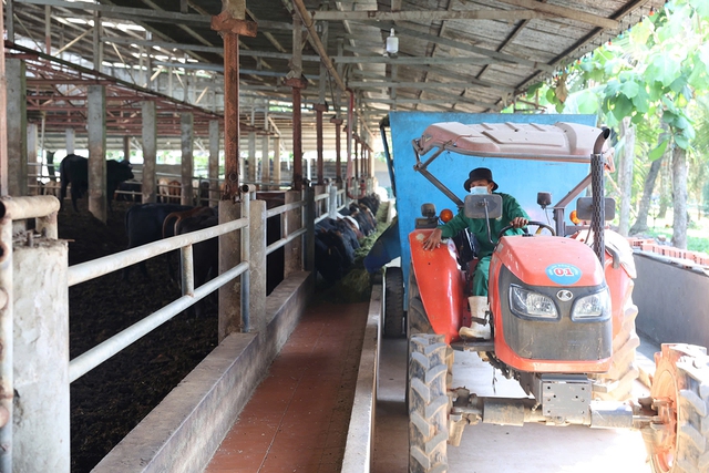 Tây Ninh: Đột phá trong phát triển nông nghiệp công nghệ cao - Ảnh 4.