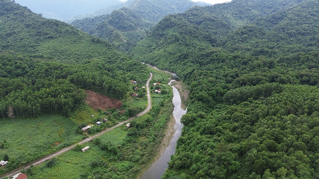Rừng Quảng Bình: Báu vật thiên nhiên và công lao những người bảo vệ, phát triển rừng - Ảnh 5. Rừng Quảng Bình: Báu vật thiên nhiên và công lao những người bảo vệ, phát triển rừng - Ảnh 5.
