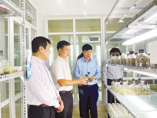 Mục tiêu tỉnh Quảng Trị đến năm 2030 trong phát triển KH-CN, ĐMST và chuyển đổi số - Ảnh 1. Mục tiêu tỉnh Quảng Trị đến năm 2030 trong phát triển KH-CN, ĐMST và chuyển đổi số - Ảnh 1.