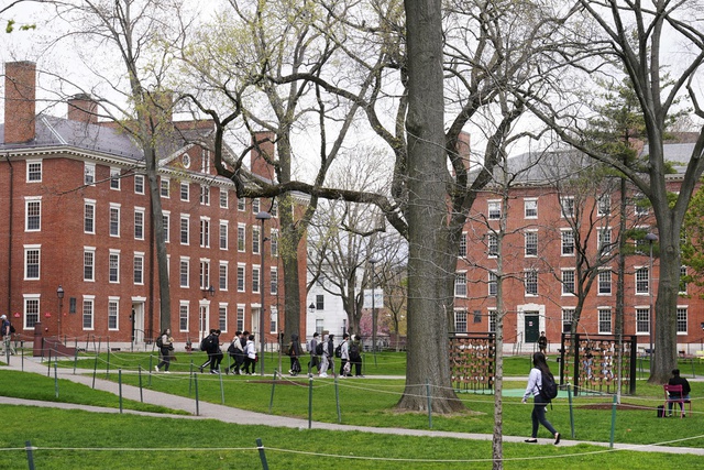 Thẩm phán Mỹ hoãn vô thời hạn lệnh cấm Đại học Harvard tuyển sinh viên quốc tế Thẩm phán Mỹ hoãn vô thời hạn lệnh cấm Đại học Harvard tuyển sinh viên quốc tế