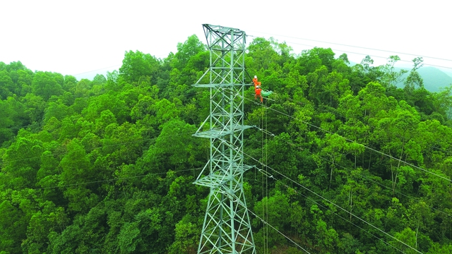 Điện lực Quảng Bình bứt tốc đầu năm, quyết tâm về đích sớm - Ảnh 2.