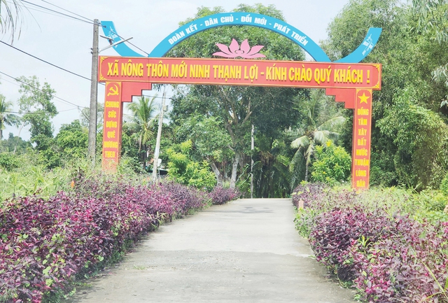 - Ảnh 3. - Ảnh 3.