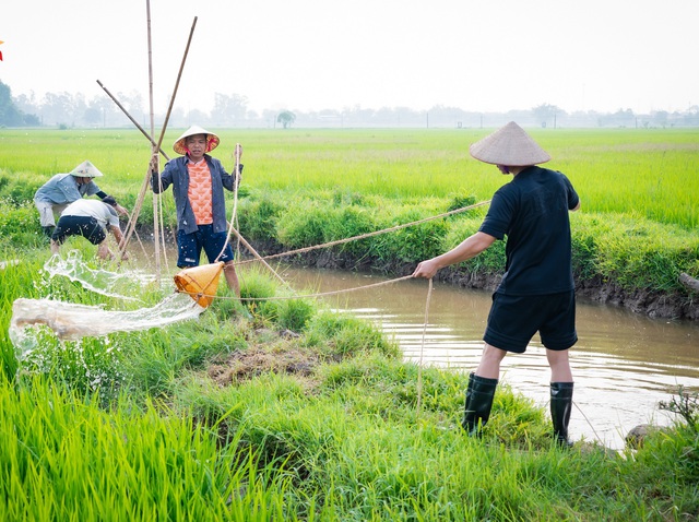 Trung Ruồi, Duy Hưng, Thái Hòa, Neko Lê làm nông dân, dạy con về lòng biết ơn- Ảnh 3. Trung Ruồi, Duy Hưng, Thái Hòa, Neko Lê làm nông dân, dạy con về lòng biết ơn- Ảnh 3.