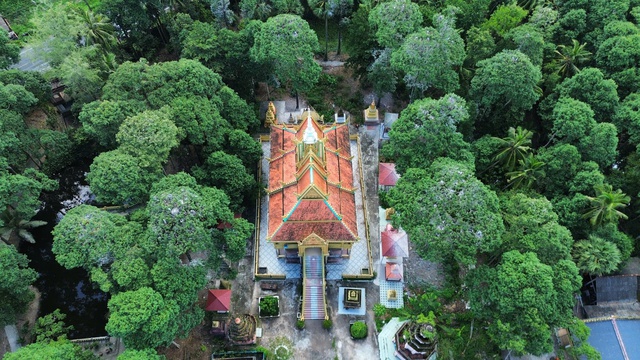 Những ngôi chùa độc đáo ở miền Tây: Nơi 'an cư' của chim cò quý hiếm- Ảnh 5. Những ngôi chùa độc đáo ở miền Tây: Nơi 'an cư' của chim cò quý hiếm- Ảnh 5.
