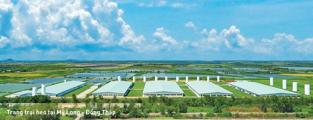 Mavin công bố Báo cáo phát triển bền vững 2024, khẳng định trách nhiệm và minh bạch- Ảnh 2. Mavin công bố Báo cáo phát triển bền vững 2024, khẳng định trách nhiệm và minh bạch- Ảnh 2.