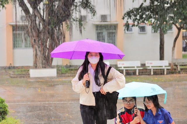- Ảnh 4. - Ảnh 4.