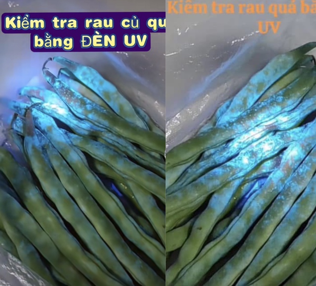 Sự thật đèn UV phát hiện thuốc trừ sâu: Chiêu trò bán hàng hay công nghệ thật? Sự thật đèn UV phát hiện thuốc trừ sâu: Chiêu trò bán hàng hay công nghệ thật?
