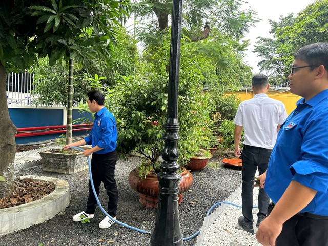 Cảm ơn bóng cây xanh nhé... - Ảnh 3.