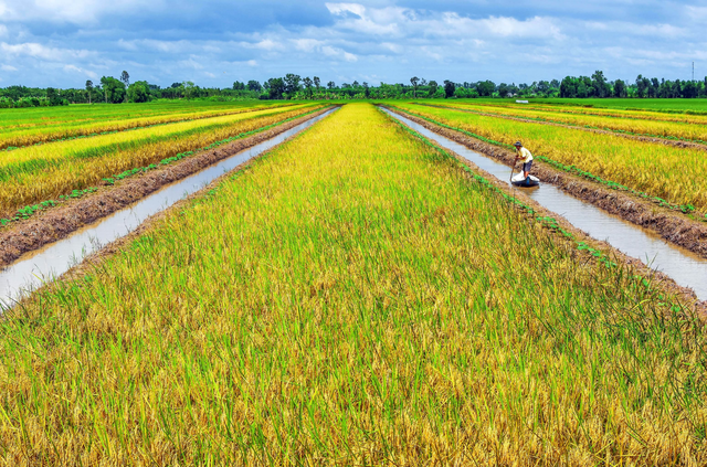Hợp nhất Bạc Liêu - Cà Mau mở rộng không gian phát triển- Ảnh 3. Hợp nhất Bạc Liêu - Cà Mau mở rộng không gian phát triển- Ảnh 3.