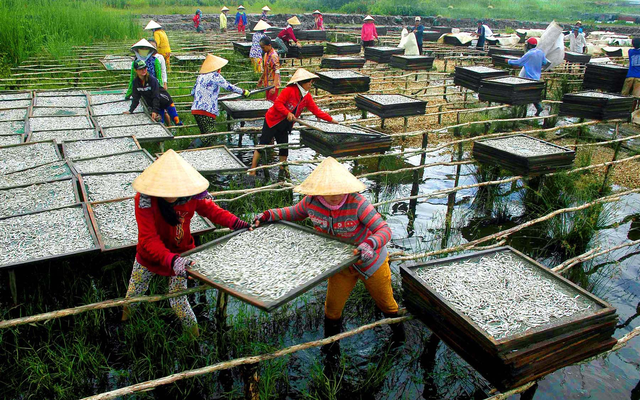 Hợp nhất Cà Mau - Bạc Liêu: Hình thành cực tăng trưởng mới cho ĐBSCL- Ảnh 5. Hợp nhất Cà Mau - Bạc Liêu: Hình thành cực tăng trưởng mới cho ĐBSCL- Ảnh 5.