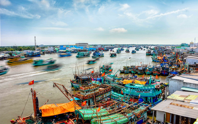 Hợp nhất Cà Mau - Bạc Liêu: Hình thành cực tăng trưởng mới cho ĐBSCL- Ảnh 3. Hợp nhất Cà Mau - Bạc Liêu: Hình thành cực tăng trưởng mới cho ĐBSCL- Ảnh 3.