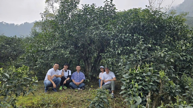 Uống trà đi!: Nghĩa đồng bào với non cao A Mú Sung- Ảnh 1.