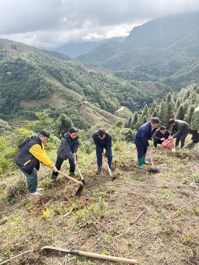 Uống trà đi!: Gieo mầm trà cho tương lai - Ảnh 6.