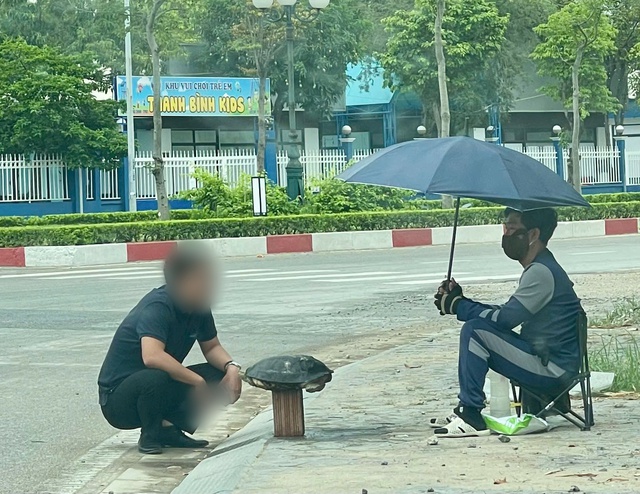 Rùa trong sách Đỏ được bày bán ở vỉa hè Hải Dương- Ảnh 1. Rùa trong sách Đỏ được bày bán ở vỉa hè Hải Dương- Ảnh 1.