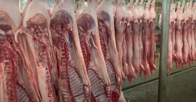 Gi&aacute; heo hơi h&ocirc;m nay 28.11.2025: Giữ xu hướng tăng ở miền Trung - Ảnh 1.