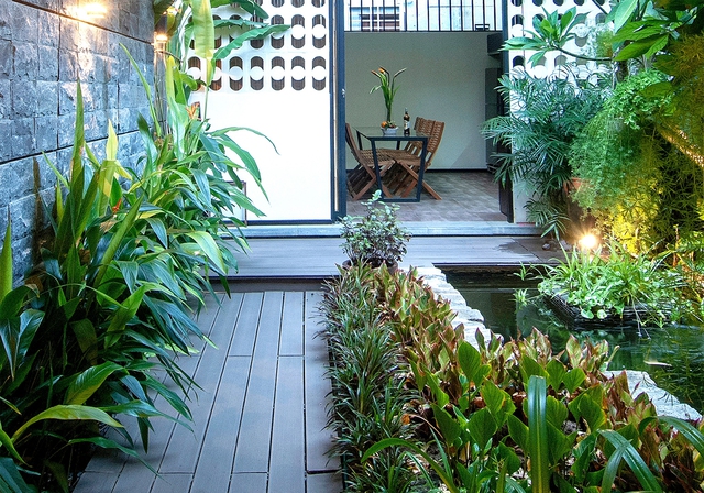 Đừng mua cây phong thủy nếu chưa biết 3 điều quan trọng này cho không gian sống - Ảnh 2. Đừng mua cây phong thủy nếu chưa biết 3 điều quan trọng này cho không gian sống - Ảnh 2.