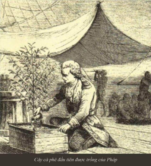 Kỳ 4: C&agrave; ph&ecirc; v&agrave; h&agrave;nh tr&igrave;nh chinh phục to&agrave;n cầu - Ảnh 3.