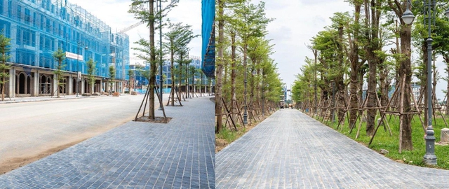 Noble Palace Tây Thăng Long tăng tốc về đích, sẵn sàng bàn giao từ quý 3/2025- Ảnh 4. Noble Palace Tây Thăng Long tăng tốc về đích, sẵn sàng bàn giao từ quý 3/2025- Ảnh 4.