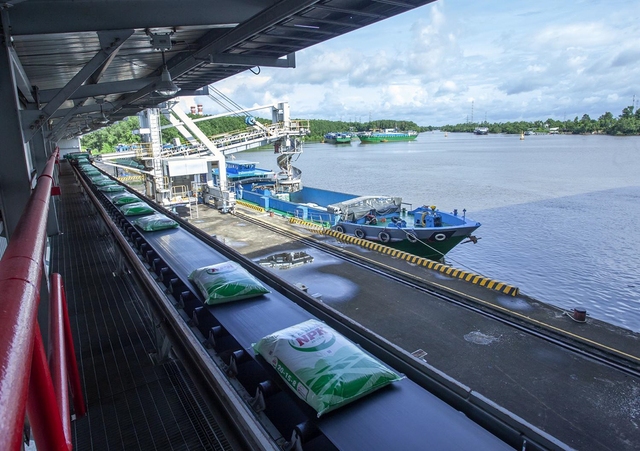 Tăng trưởng ấn tượng - chiến lược đột phá: PVCFC chinh phục nhà đầu tư- Ảnh 3. Tăng trưởng ấn tượng - chiến lược đột phá: PVCFC chinh phục nhà đầu tư- Ảnh 3.