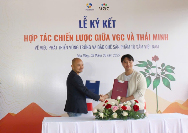 Lâm Đồng sẽ trở thành thủ phủ của sâm Việt Nam?