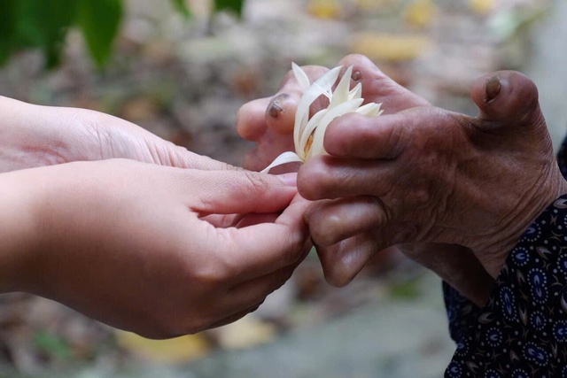 Đời có bao nhiêu ngày vui Đời có bao nhiêu ngày vui