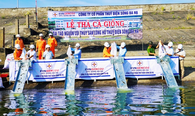 Thả cá giống tái tạo nguồn lợi thủy sản ở lòng hồ Sông Ba Hạ- Ảnh 1.