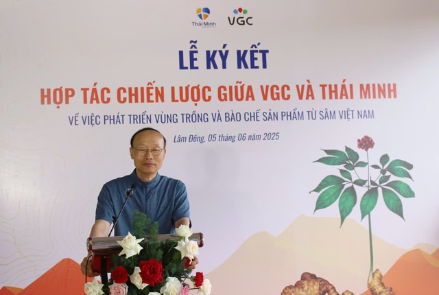 Lâm Đồng sẽ trở thành thủ phủ của sâm Việt Nam?- Ảnh 4.