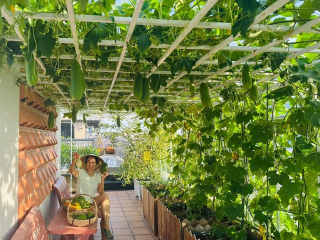 Gia đình doanh nhân Cần Thơ: 5 năm ăn rau sạch trên sân thượng - Ảnh 8.