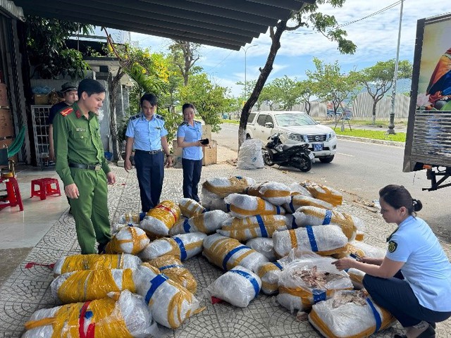 Đà Nẵng: Tạm giữ 700 kg mực khô bốc mùi, vô chủ tại âu thuyền Thọ Quang