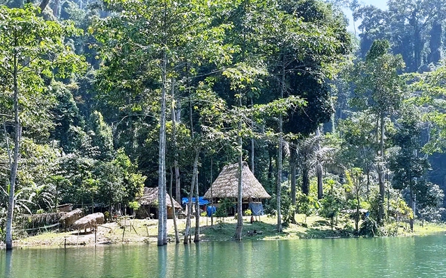 Trả nợ cho rừng: Hành trình khôi phục màu xanh tại Vườn quốc gia sông Thanh - Ảnh 1. Trả nợ cho rừng: Hành trình khôi phục màu xanh tại Vườn quốc gia sông Thanh - Ảnh 1.