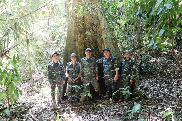 Trả nợ cho rừng: Hành trình khôi phục màu xanh tại Vườn quốc gia sông Thanh - Ảnh 2. Trả nợ cho rừng: Hành trình khôi phục màu xanh tại Vườn quốc gia sông Thanh - Ảnh 2.