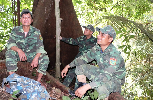 Trả nợ cho rừng: Hành trình khôi phục màu xanh tại Vườn quốc gia sông Thanh - Ảnh 5. Trả nợ cho rừng: Hành trình khôi phục màu xanh tại Vườn quốc gia sông Thanh - Ảnh 5.