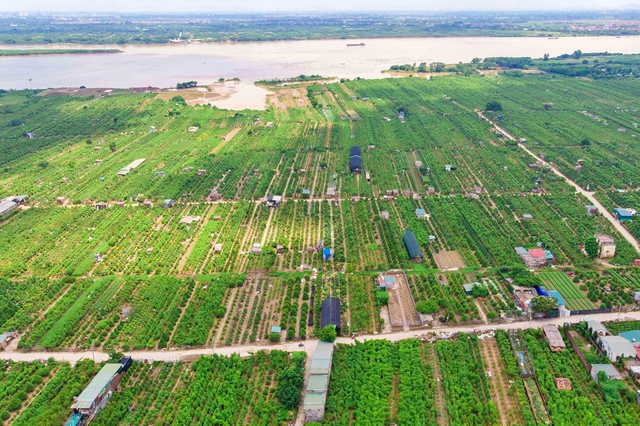 Hà Nội cho phép khai thác đất bãi sông làm nông nghiệp kết hợp du lịch- Ảnh 2.
