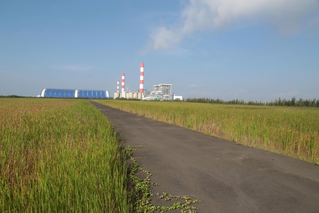 C&ocirc;ng ty Nhiệt điện Duy&ecirc;n Hải: Ph&aacute;t triển sản xuất gắn với bảo vệ m&ocirc;i trường đồng bộ v&agrave; hiệu quả- Ảnh 3.