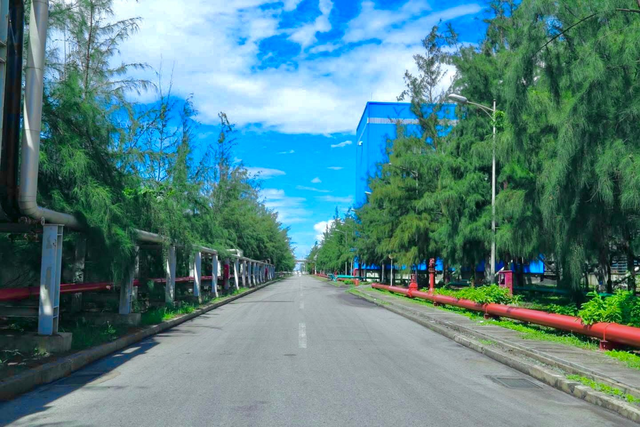 C&ocirc;ng ty Nhiệt điện Duy&ecirc;n Hải: Ph&aacute;t triển sản xuất gắn với bảo vệ m&ocirc;i trường đồng bộ v&agrave; hiệu quả- Ảnh 4.