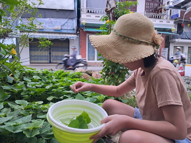 Nép vào bóng râm của cây cỏ để chữa lành tâm hồn và tiết kiệm điện- Ảnh 2. Nép vào bóng râm của cây cỏ để chữa lành tâm hồn và tiết kiệm điện- Ảnh 2.