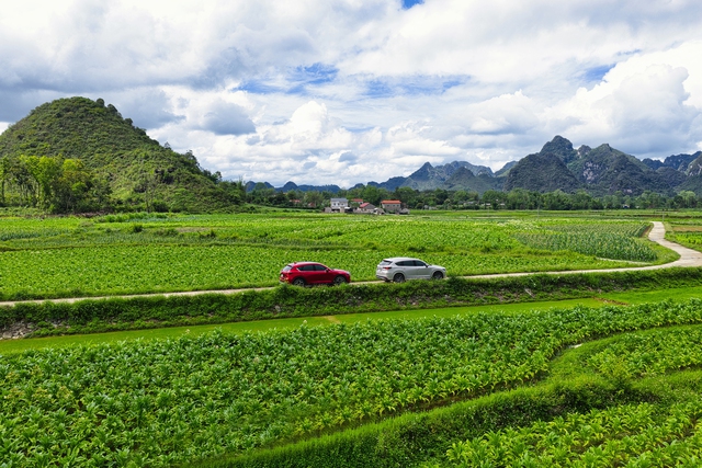 Mazda SUV: Giao thoa giữa di sản và hiện đại - Ảnh 8.