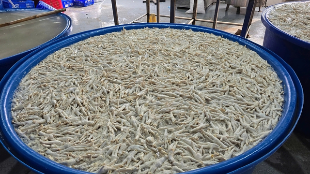 Thanh hóa phát hiện kho đông lạnh tẩy trắng chân gà bằng oxy già - Ảnh 1. Thanh hóa phát hiện kho đông lạnh tẩy trắng chân gà bằng oxy già - Ảnh 1.