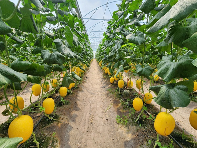 'Mạch nguồn' tiết kiệm điện của cha - Ảnh 1.