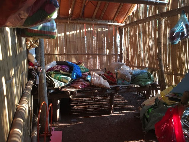 16 năm biến gian nan th&agrave;nh tr&aacute;i ngọt nơi đại ng&agrave;n Lai Ch&acirc;u  - Ảnh 2.