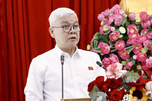 Đại biểu Quốc hội TP.HCM tiếp công dân tại 3 địa điểm thuộc các tỉnh, thành cũ - Ảnh 3.