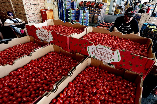 Mỹ giáng đòn mới lên Mexico, EU chuẩn bị đáp trả
